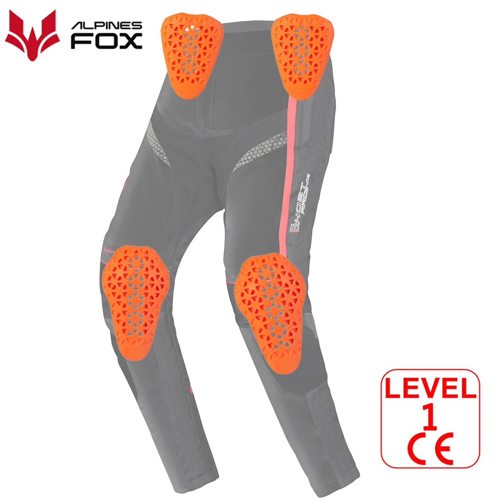 CE معتمد موتو الجينز منصات الر - مراجعة Motorcycle Gear Alpine وسعره