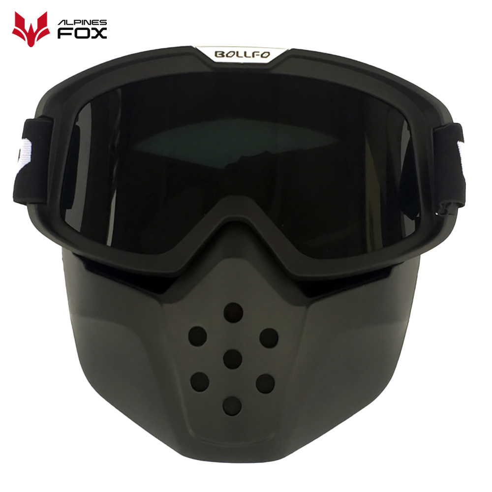 نظارات واقية للدراجات النارية  - مراجعة Motorcycle Gear Alpine وسعره